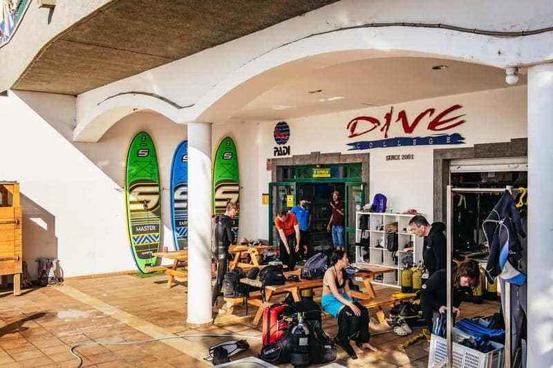 Lanzarote: Scuba Dive at Museo Atlántico for Beginners - Playa Blanca pickup and the small-group pace