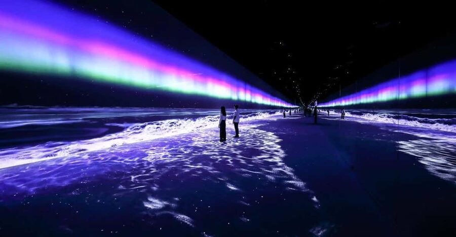 Las Vegas: Arte Museum Las Vegas Immersive Art Exhibition - The Room-by-Room Route: Aurora to Night Safari