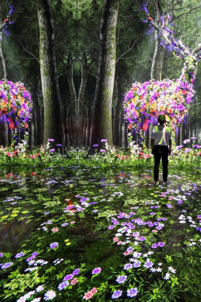 Las Vegas: Arte Museum Las Vegas Immersive Art Exhibition - Price and Timing: Is $50 Worth a One-Day Art Circuit?