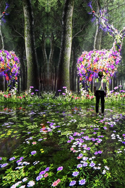 Las Vegas: Arte Museum Las Vegas Immersive Art Exhibition - Price and Timing: Is $50 Worth a One-Day Art Circuit?