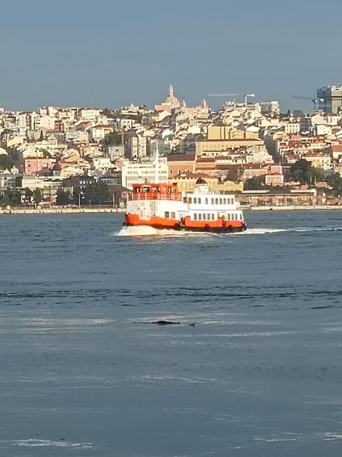 Lisbon: Belem, Jeronimos Monastery, and Coach Museum Tour - Should You Book This Tour?