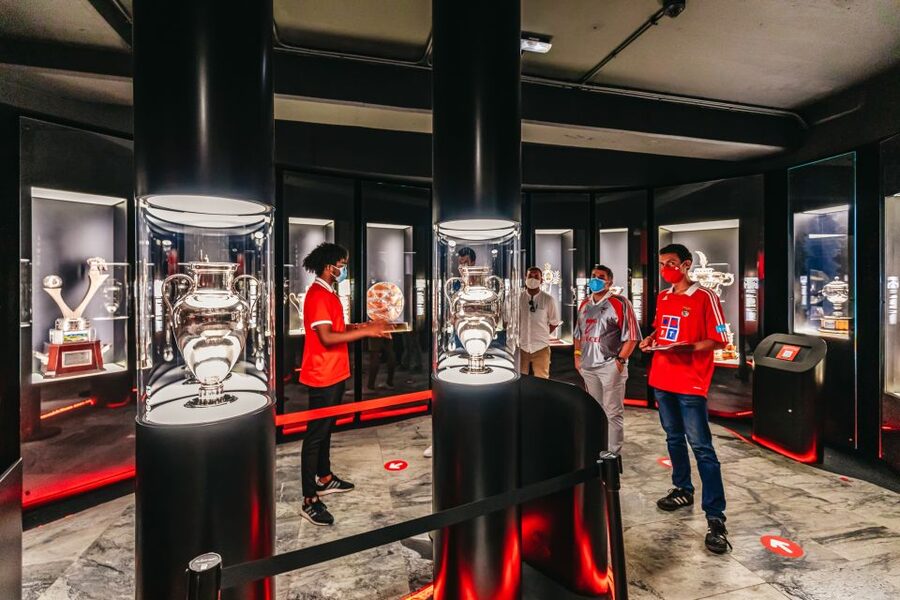 Lisbon: Luz Stadium Tour & SL Benfica Museum Entry - Tunnel to pitch: the photo angles and the real feel of matchday