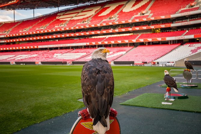 Lisbon SL Benfica Stadium & Museum Tour with Scarf - Should you book this Benfica Stadium & Museum Tour with Scarf?