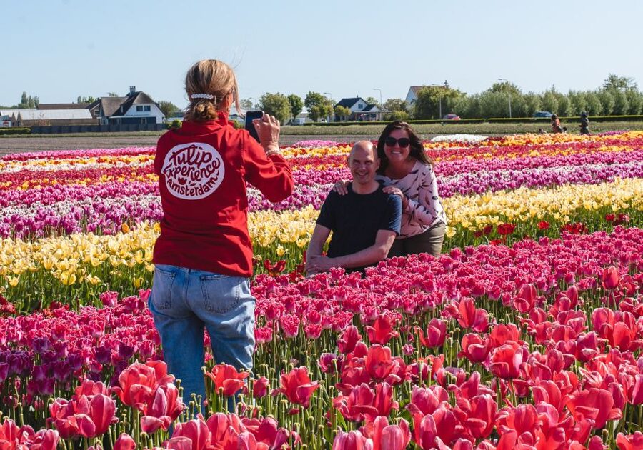 Lisse: Tulip Experience Ticket with Tulip Garden and Museum - Key highlights you’ll actually use