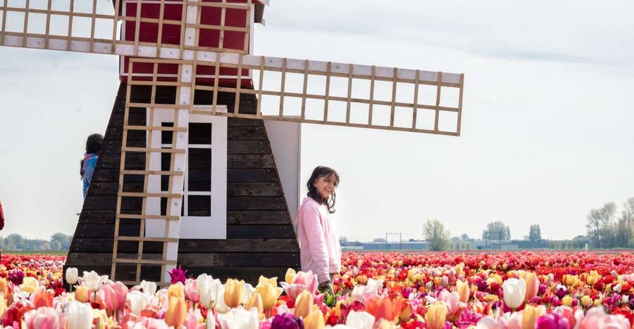 Lisse: Tulip Experience Ticket with Tulip Garden and Museum - Entering the tulip garden: photo spots built for real people