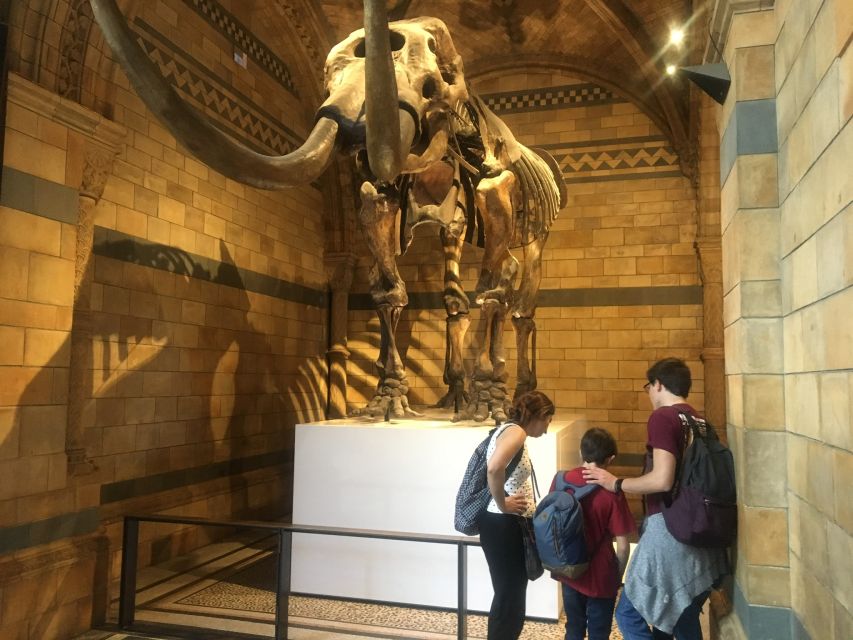 London: Natural History Museum Entry Ticket and Guided Tour - What This 1-Hour Guided Tour Really Gets You (and Why It’s Worth It)