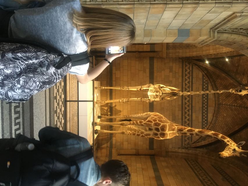 London: Natural History Museum Entry Ticket and Guided Tour - Entering the Museum Fast: Express Security and a Clear Start