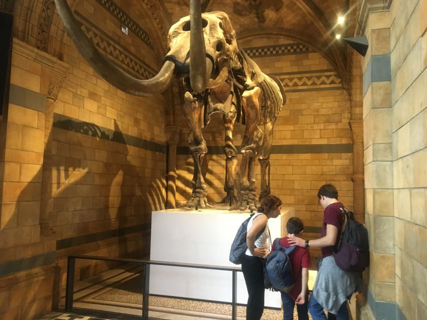 London: Natural History Museum Entry Ticket and Guided Tour - Hintze Hall: Dinosaurs and the 25m Blue Whale Skeleton