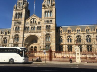London: Natural History Museum Entry Ticket and Guided Tour - Central Hall’s Diplodocus: The Big-Scale Start That Sets the Tone