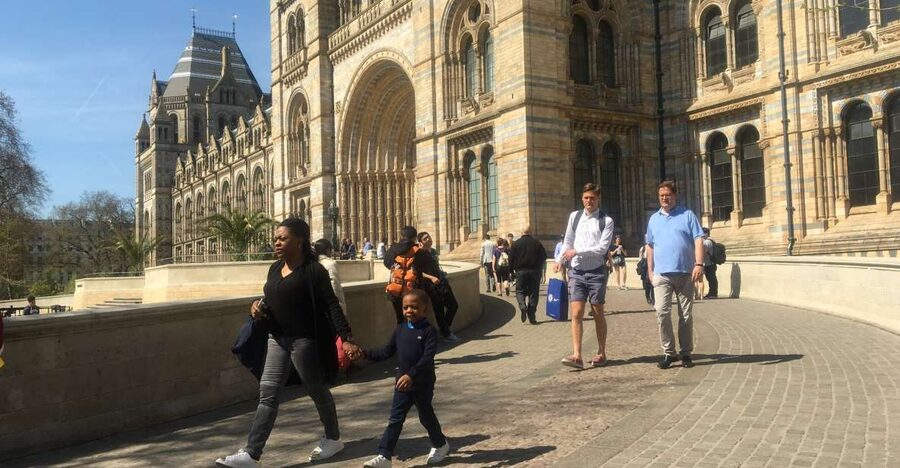 London: Natural History Museum Entry Ticket and Guided Tour - The Wildlife Garden: A Breather With Birds and Bees