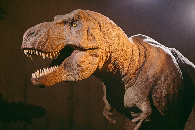 London: Natural History Museum Express Guided Tour & Audio Guide - Audio guide reality check: QR download, your phone, your headphones