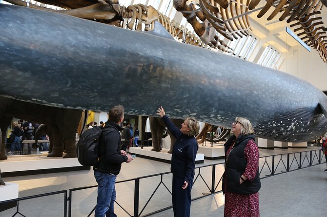 London: Natural History Museum Express Guided Tour & Audio Guide - Reserved entry, not magic skip-the-line