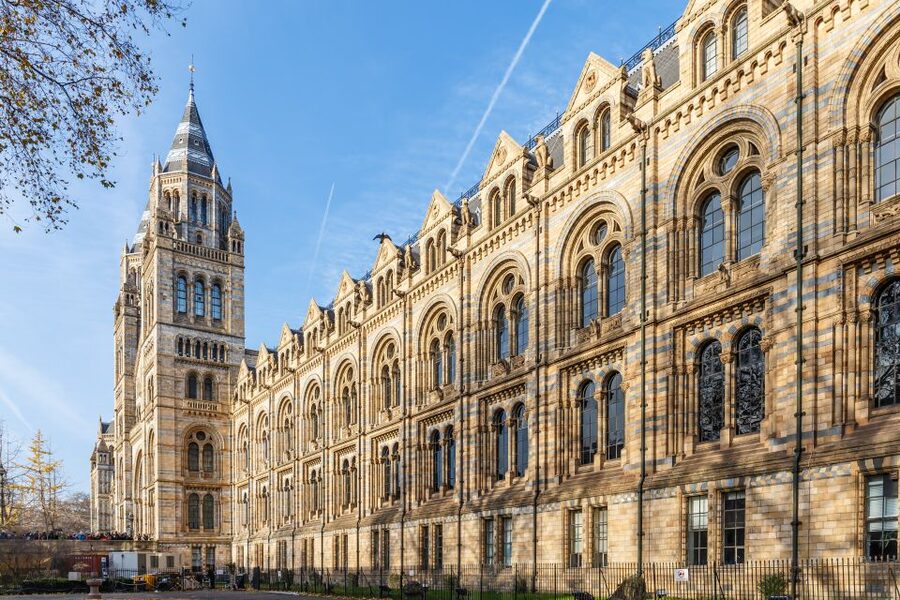 London: Natural History Museum Guided Tour - The awe factor: Cursed Amethyst and a giant slice of sequoia