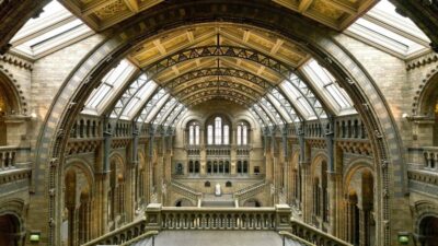London: Natural History Museum Guided Tour - Fossils and the dinosaur-to-bird story: Iguanodon, Dodo, and Archaeopteryx