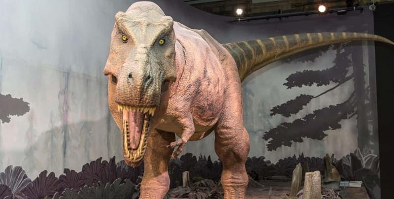 London: Natural History Museum Guided Tour w/ Priority Entry - Key highlights you’ll care about