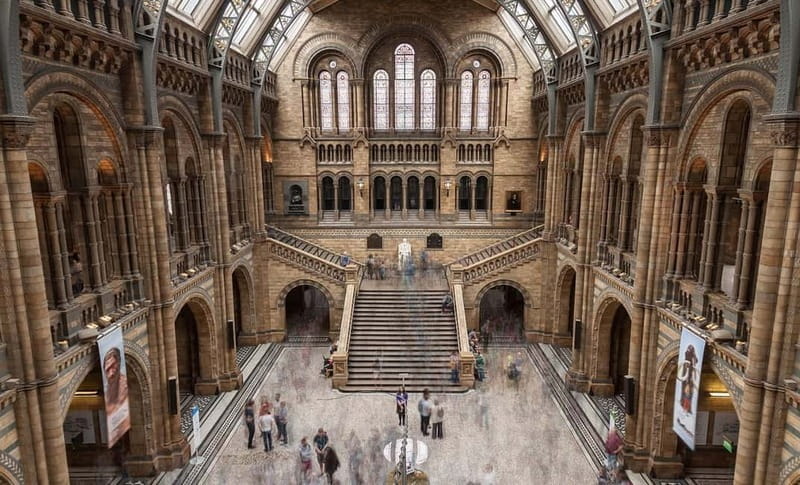 London: Natural History Museum Guided Tour w/ Priority Entry - Hintze Hall: the blue whale skeleton that sets your expectations