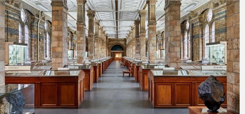London: Natural History Museum Guided Tour w/ Priority Entry - Earth science in plain English: geology, volcanoes, gemstones, and evolution