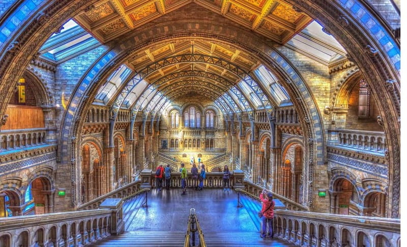 London: Natural History Museum Guided Tour w/ Priority Entry - Hands-on fun: interactive displays and the earthquake simulator