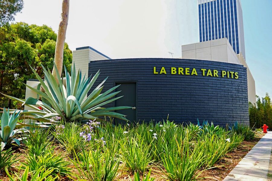Los Angeles: La Brea Tar Pits Museum Ticket - Bubbling tar and a real urban Ice Age dig (Pit 91 is the star)