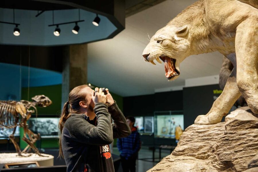 Los Angeles: La Brea Tar Pits Museum Ticket - Pleistocene Gardens: where the museum connects plants and animals