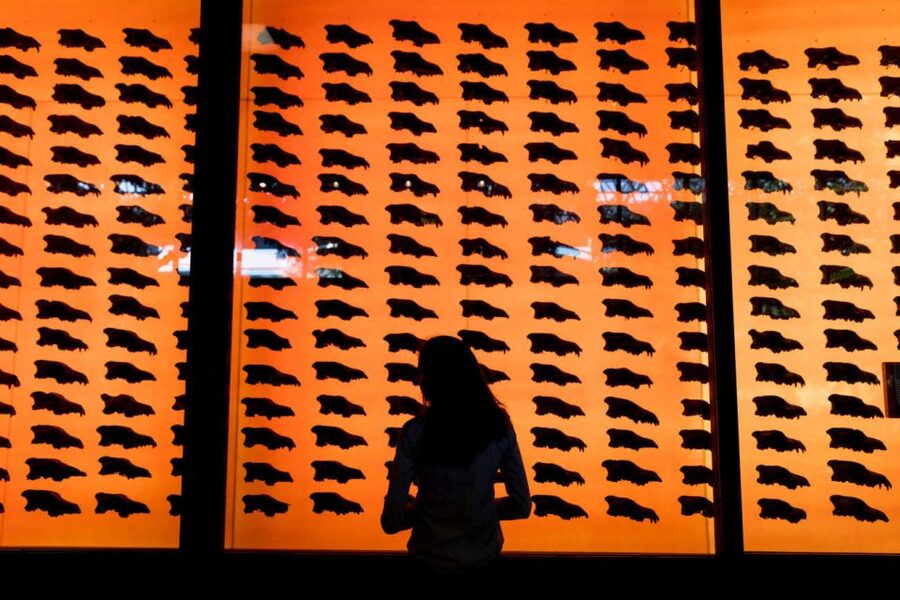 Los Angeles: La Brea Tar Pits Museum Ticket - Fossil Lab viewing: watching science clean and study real finds