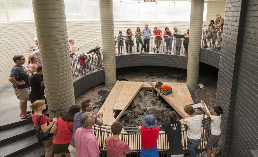 Los Angeles: La Brea Tar Pits Museum Ticket - Excavation in action: what’s being found today