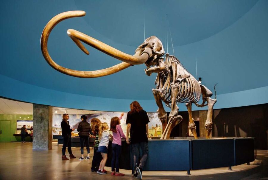Los Angeles: La Brea Tar Pits Museum Ticket - Timing and pacing inside the 9:30 AM to 5:00 PM window