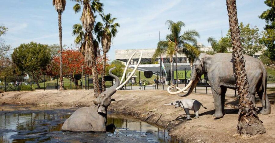 Los Angeles: La Brea Tar Pits Museum Ticket - Ticket value around $18: what’s included and what’s optional