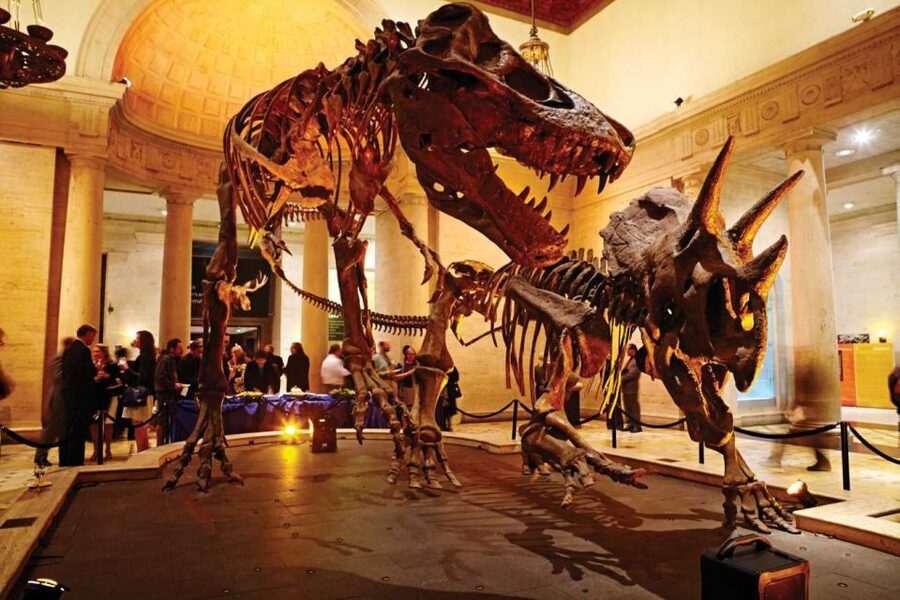 Los Angeles: Natural History Museum of LA Entry Ticket - Key things to know before you go