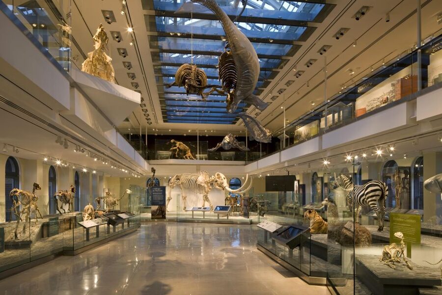 Los Angeles: Natural History Museum of LA Entry Ticket - Optional detour: pairing with the California Science Center next door