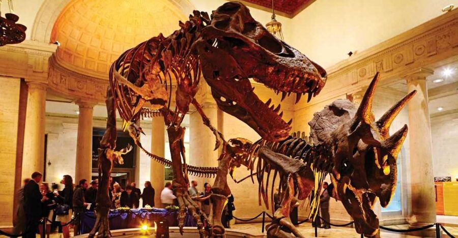 Los Angeles: Natural History Museum of LA Entry Ticket - Getting in fast at the entrance you choose