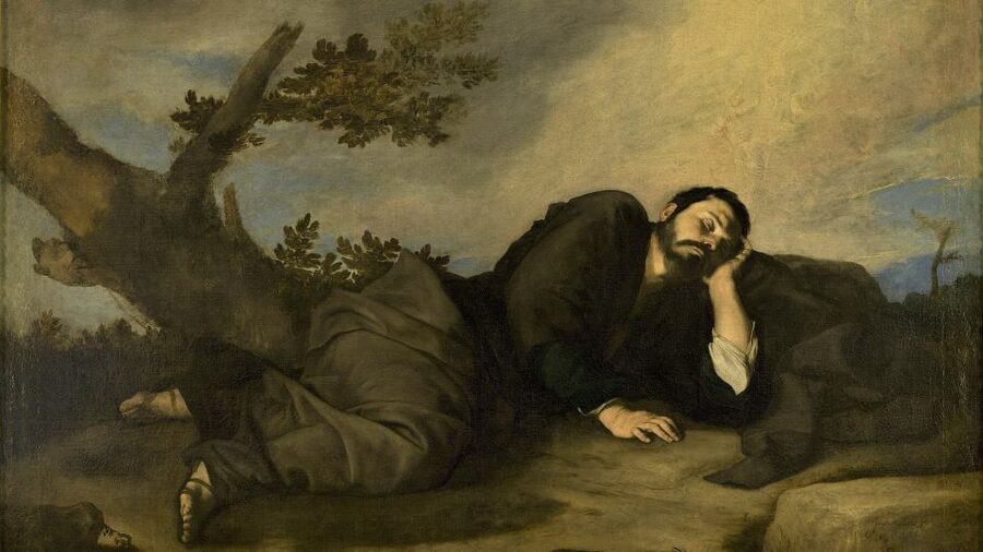 Madrid: Prado Museum 3-Hour Private Tour - Private group comfort, plus practical details that matter