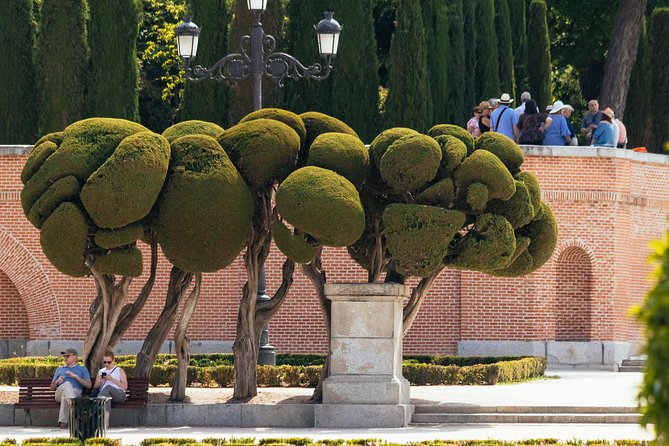 Madrid Prado Museum & City PRIVATE TOUR with Ticket Included - Carbon neutral experience and what that means for travelers