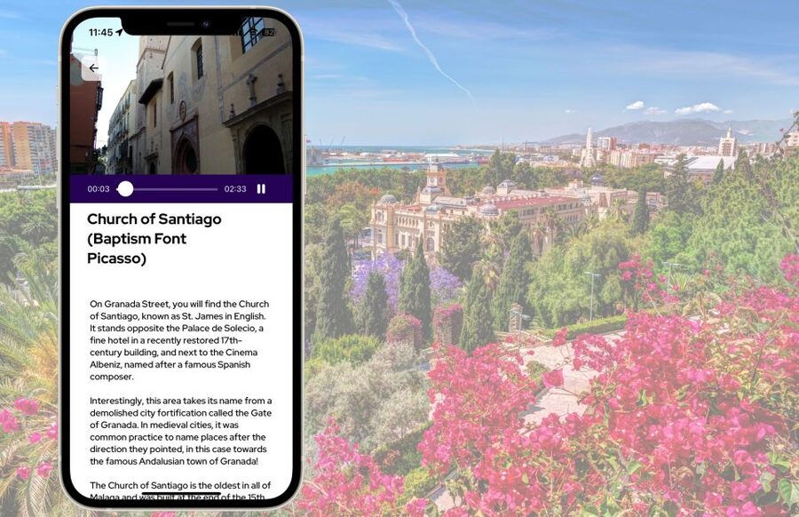 Málaga: Picasso Birthplace Museum Ticket & City Audio Guide - Museo Casa Natal de Picasso: what your ticket covers