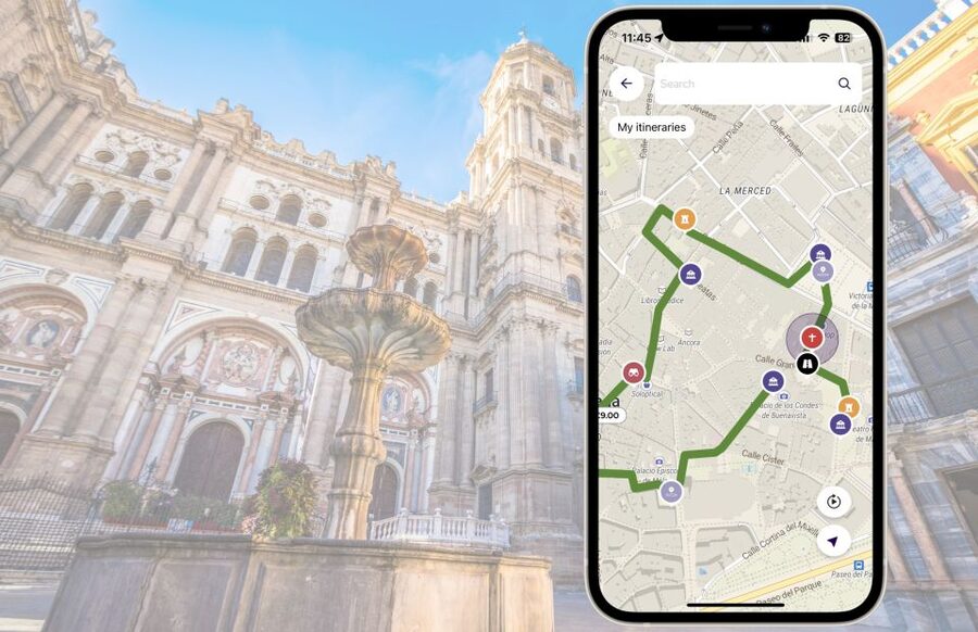 Málaga: Picasso Birthplace Museum Ticket & City Audio Guide - The app audio tour: best practices for a smooth phone-based guide
