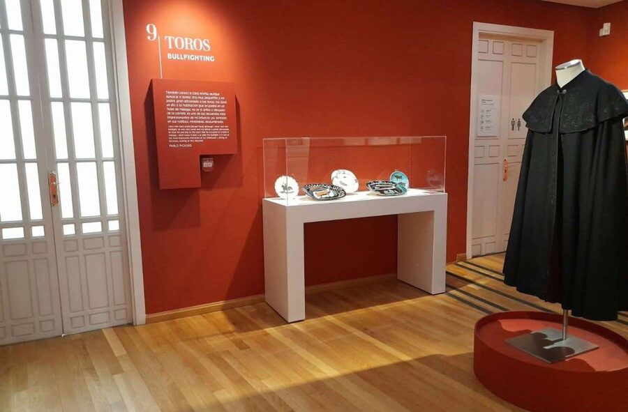 Málaga: Picasso Birthplace Museum Ticket & City Audio Guide - Price and value: is $11 per person a bargain?