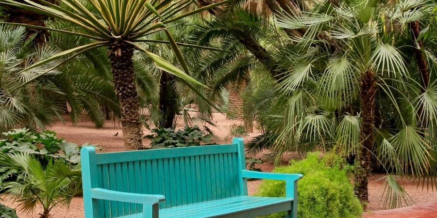 Marrakech: Majorelle Garden, YSL, and Berber Museum Entry - Rules That Actually Affect Your Visit