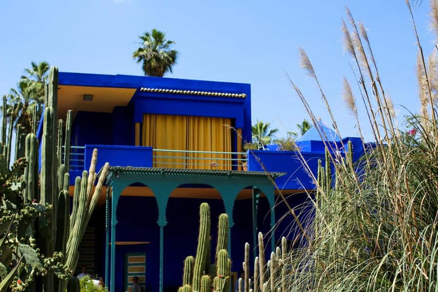 Marrakech: Majorelle Garden, YSL, and Berber Museum Entry - QR Codes, No Meeting Point, and the Majorelle Start Rule