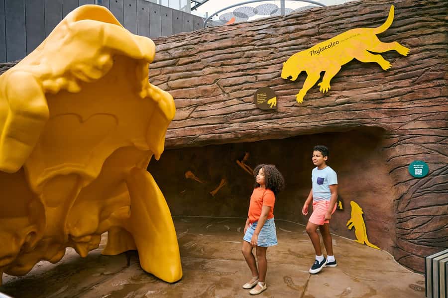 Melbourne: Melbourne Museum Entry Ticket - Key highlights you should plan around