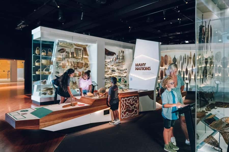 Melbourne: Melbourne Museum Entry Ticket - Forest Gallery: Tall Trees, Wildlife Themes, and a Great Pace Setter