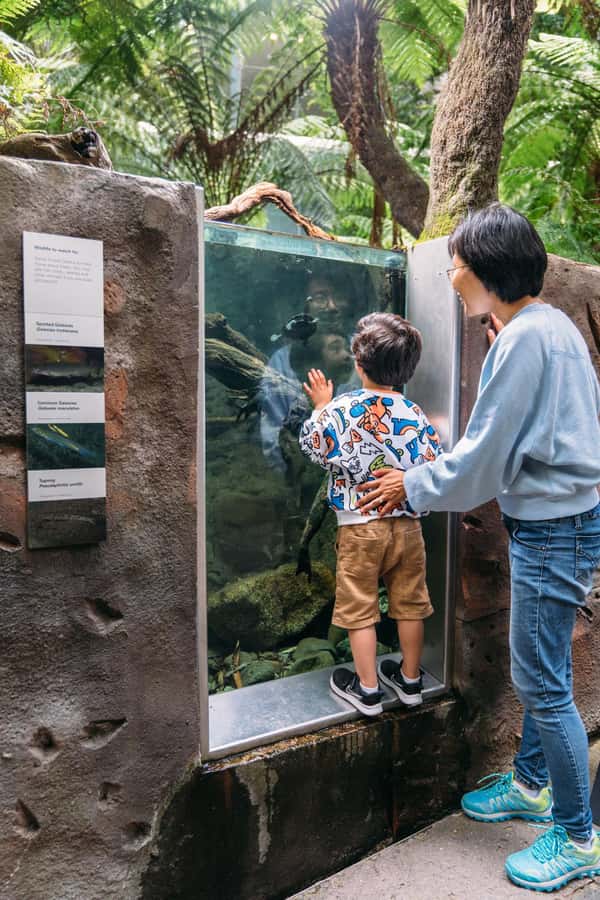 Melbourne: Melbourne Museum Entry Ticket - Children’s Gallery: Fun Learning for Little Ones