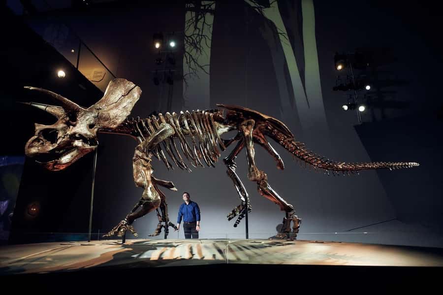 Melbourne: Melbourne Museum Entry Ticket - How to Use Your Day: Timing and a Simple Route That Works