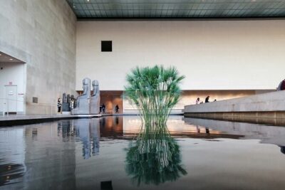 Metropolitan Museum of Art Highlights Tour - Meeting at 1000 5th Ave and the Security Timing That Matters
