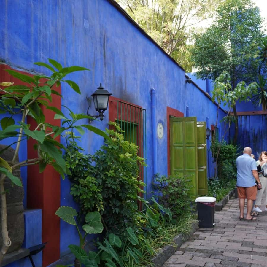 Mexico City: Frida Kahlo Museum Tour - Frida Kahlo as an artist, sister, and political voice