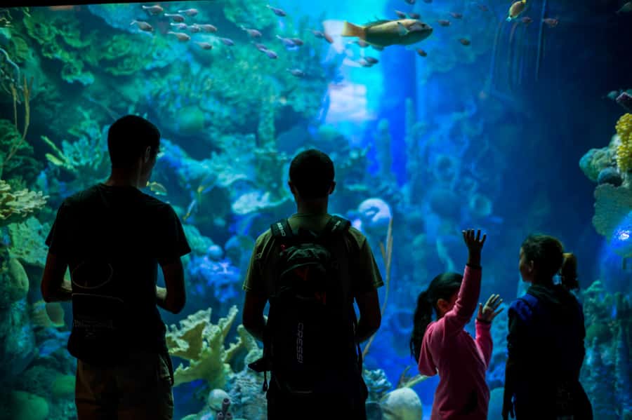 Miami: Frost Museum of Science and Planetarium Entry Ticket - Who should go (and who might want a different plan)
