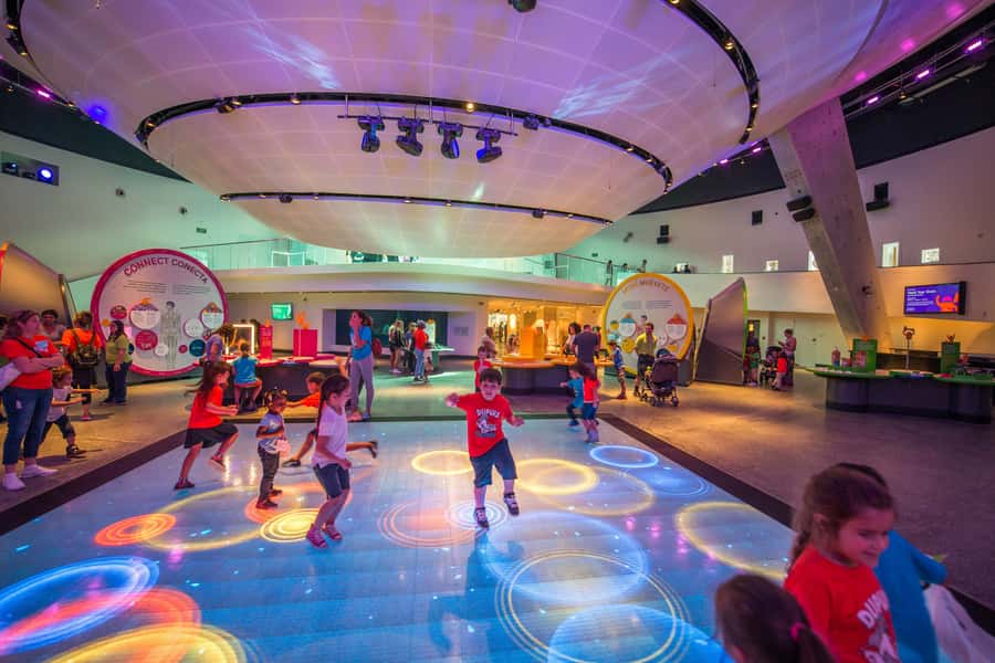 Miami: Frost Museum of Science and Planetarium Entry Ticket - Frost Museum of Science in Downtown Miami: what your $30 ticket buys