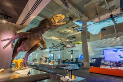 Miami: Frost Museum of Science and Planetarium Entry Ticket - How to pace it: a practical 3–4 hour game plan