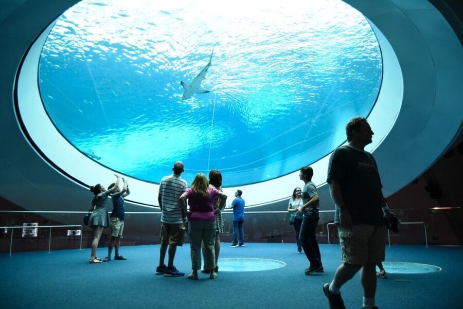 Miami: Frost Museum of Science and Planetarium Entry Ticket - Space, dinosaurs, and learning flow: Feathers to the Stars and Power of Science