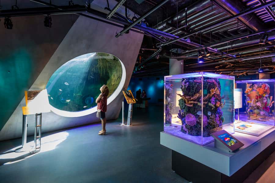 Miami: Frost Museum of Science and Planetarium Entry Ticket - The Mars and aviation themes: why the science feels connected