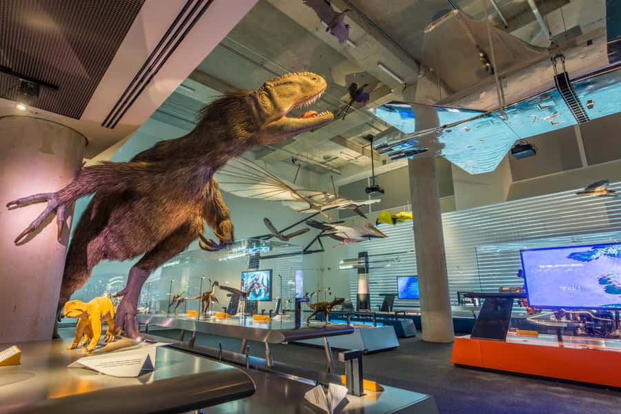 Miami: Frost Museum of Science and Planetarium Entry Ticket - How to pace it: a practical 3–4 hour game plan